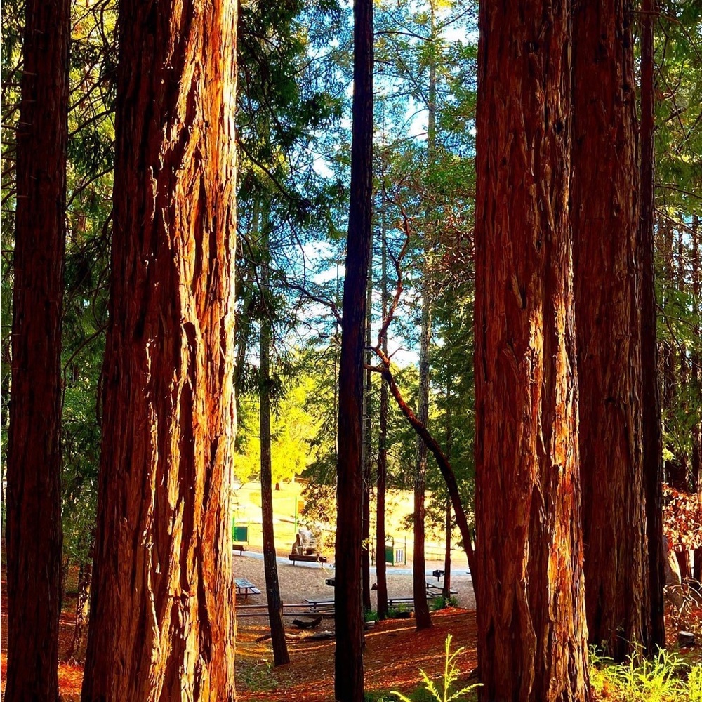 Meet your Posher, Margaret